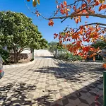 Apartamento Anica-1 By Interhome