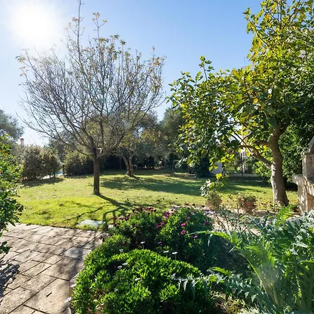 Anica-1 By Interhome Задар