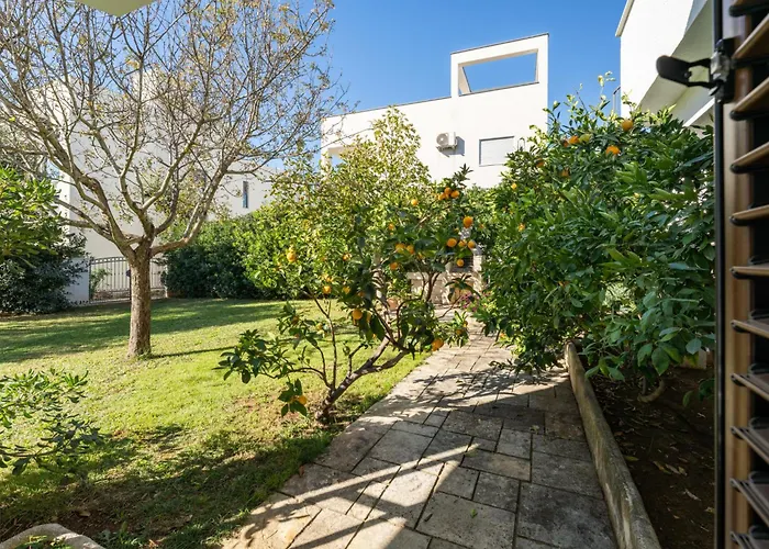 Anica-1 By Interhome Lejlighed