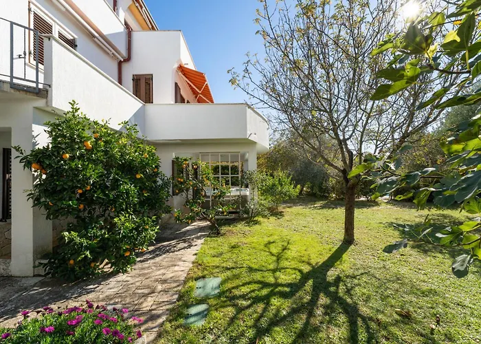 Lejlighed Anica-1 By Interhome Zadar